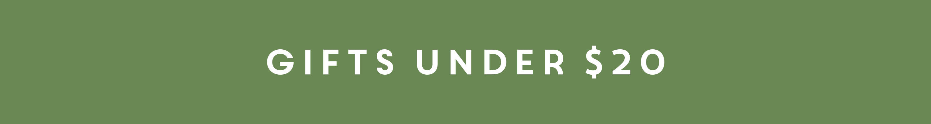 Green banner with bold white text in the center that reads GIFTS UNDER $20.
