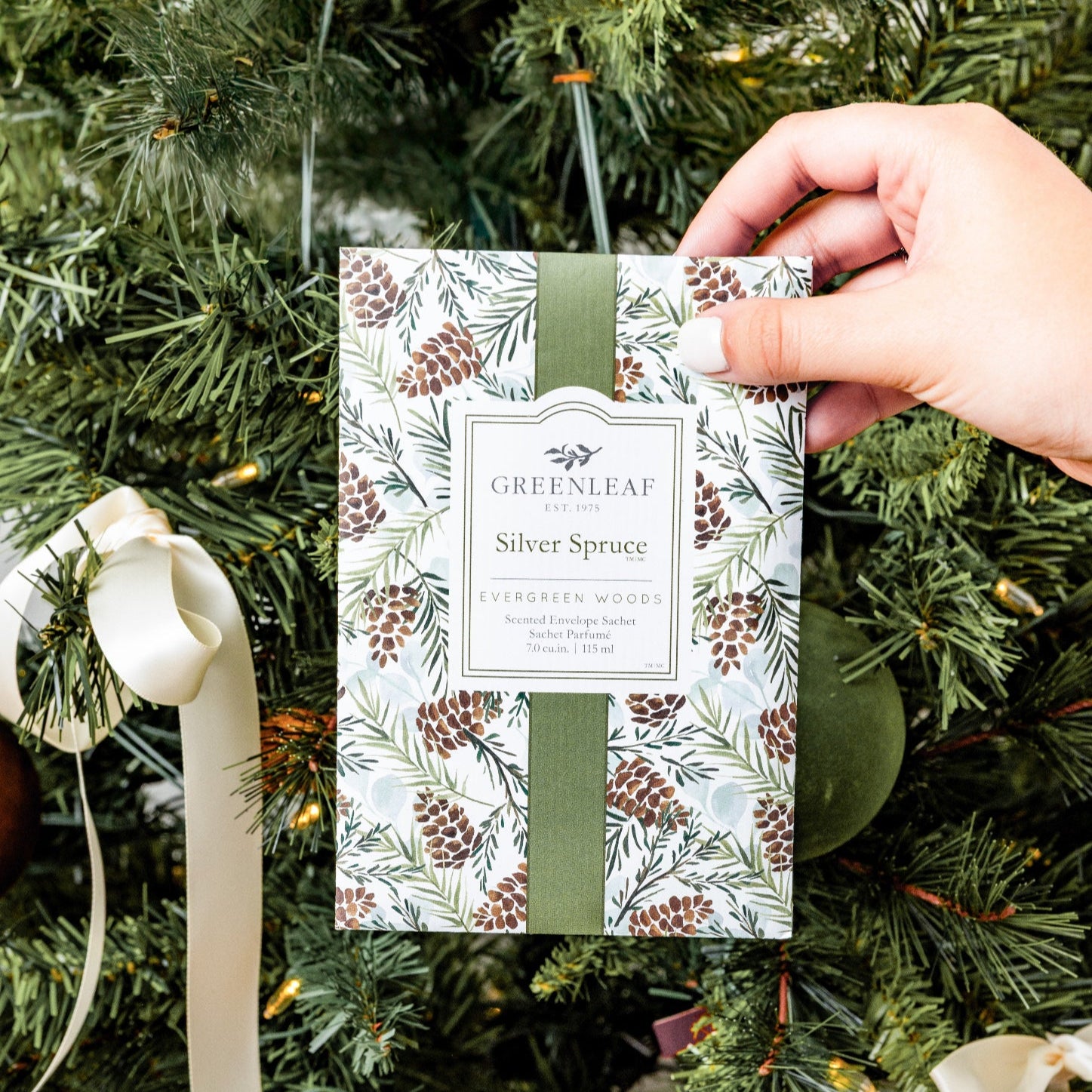 Hand holding a Greenleaf Silver Spruce Sachet against a Christmas tree background