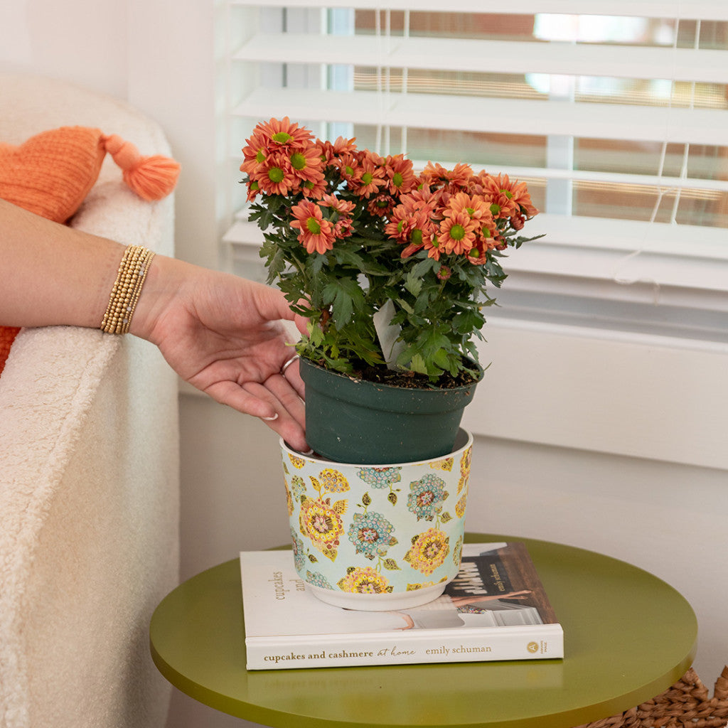 A hand places a potted orange chrysanthemum into a decorative floral pot on a green table, next to the Greenleaf Gifts Patterned 3 Wick Candle - Bella Freesia and a stack of books near a white window with blinds.