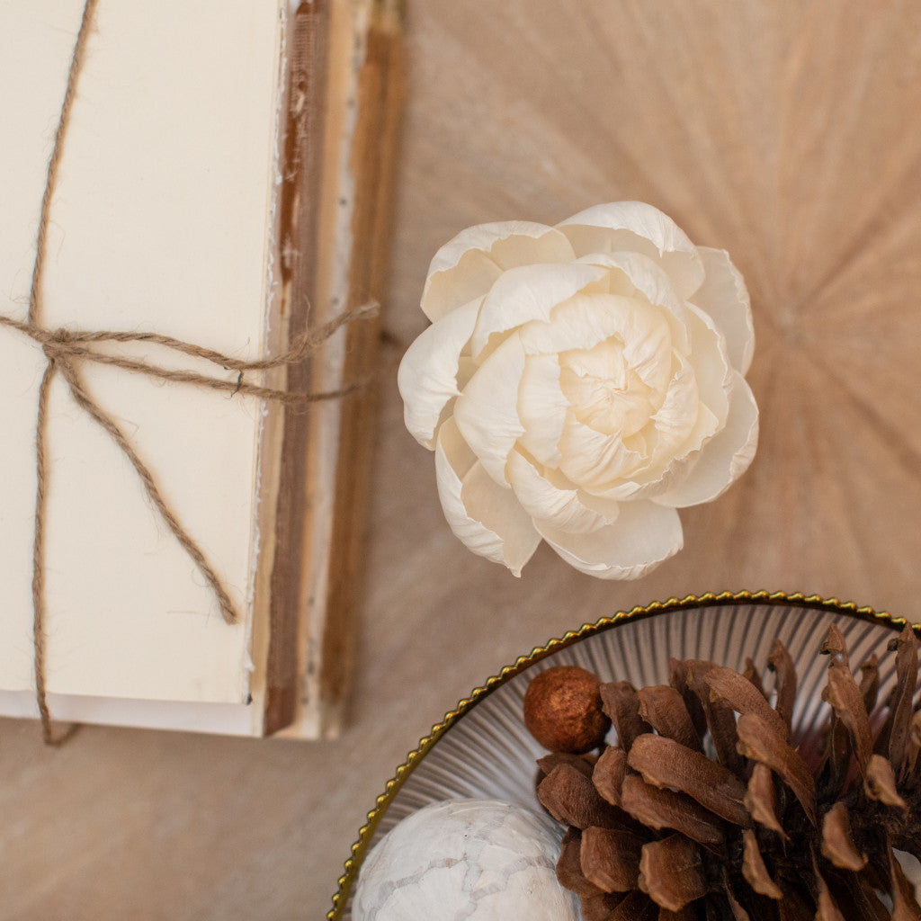 A stack of books tied with twine sits beside a Greenleaf Gifts Shimmering Snowberry Flower Diffuser and a glass dish filled with dried botanicals on a light wooden surface.