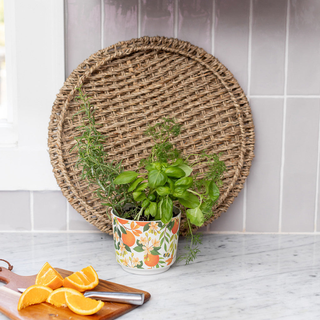 A potted herb plant sits on a marble countertop near a cutting board with sliced oranges and the Greenleaf Gifts Patterned 3 Wick Candle in Orange & Honey. A woven placemat and light gray tiles complete the background.
