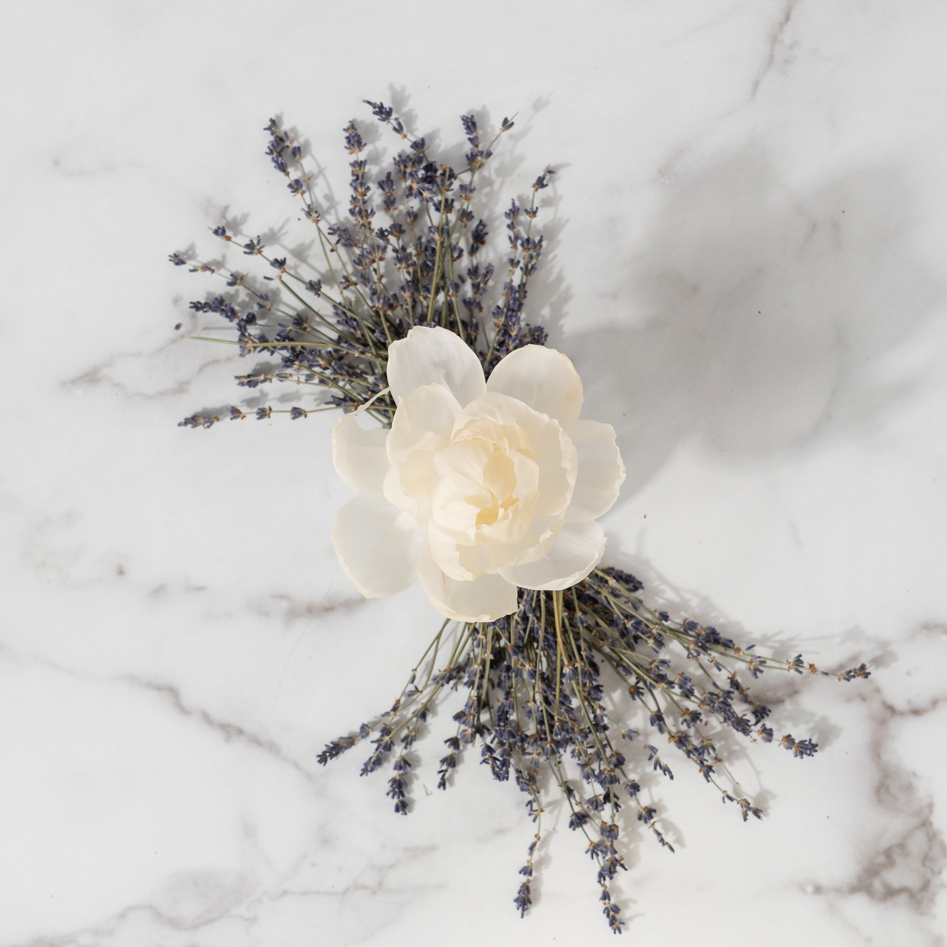 A white peony rests on marble, ringed by dried lavender in a fan shape—an elegant display inspired by the Greenleaf Gifts Lavender Flower Diffuser, perfect for creating a lasting impression that endures up to 60 days.
