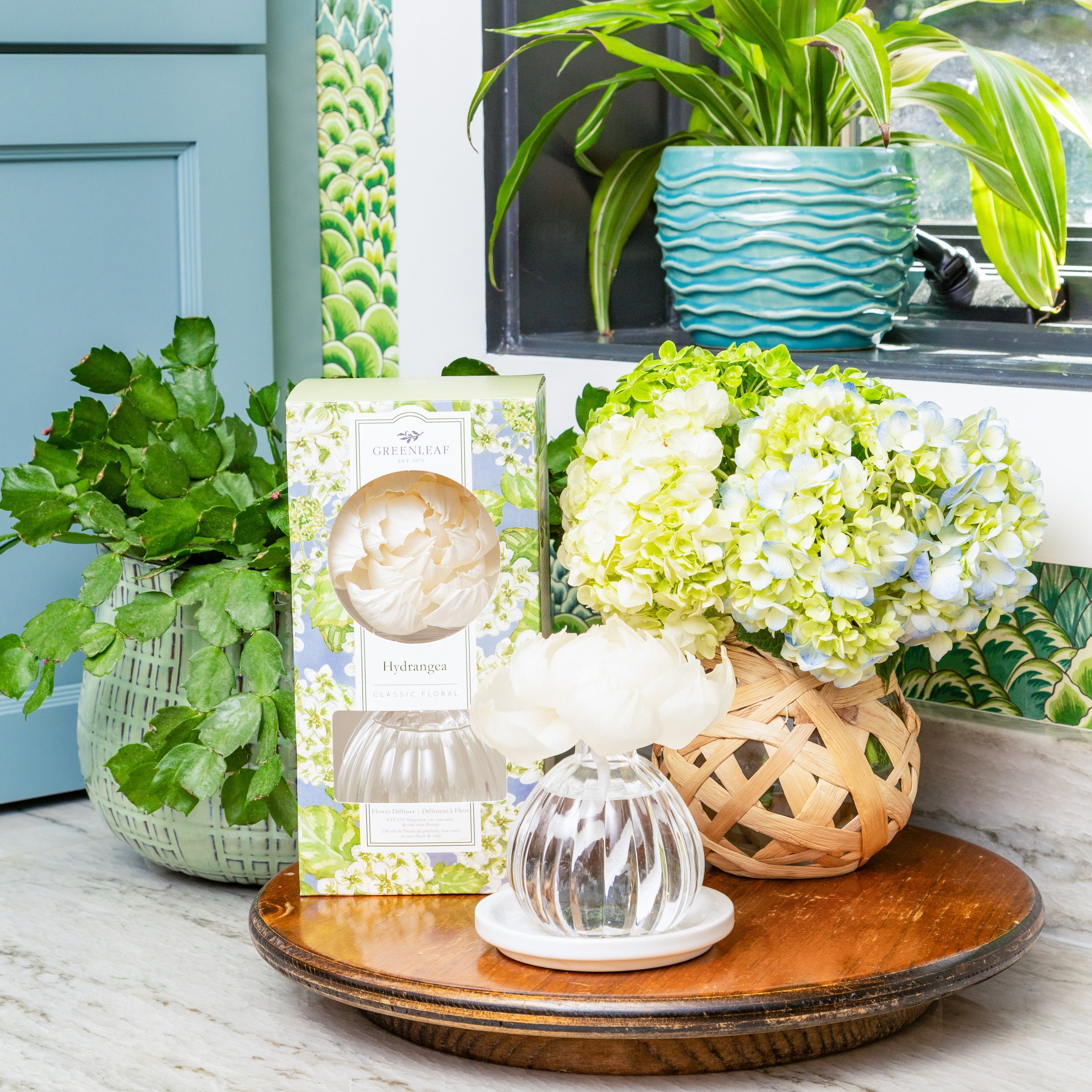 A wooden tray displays a glass vase of white flowers, a Greenleaf Gifts Hydrangea Flower Diffuser in floral packaging, and a basket of light green hydrangeas. Green potted plants are nearby on a marble countertop by the window.