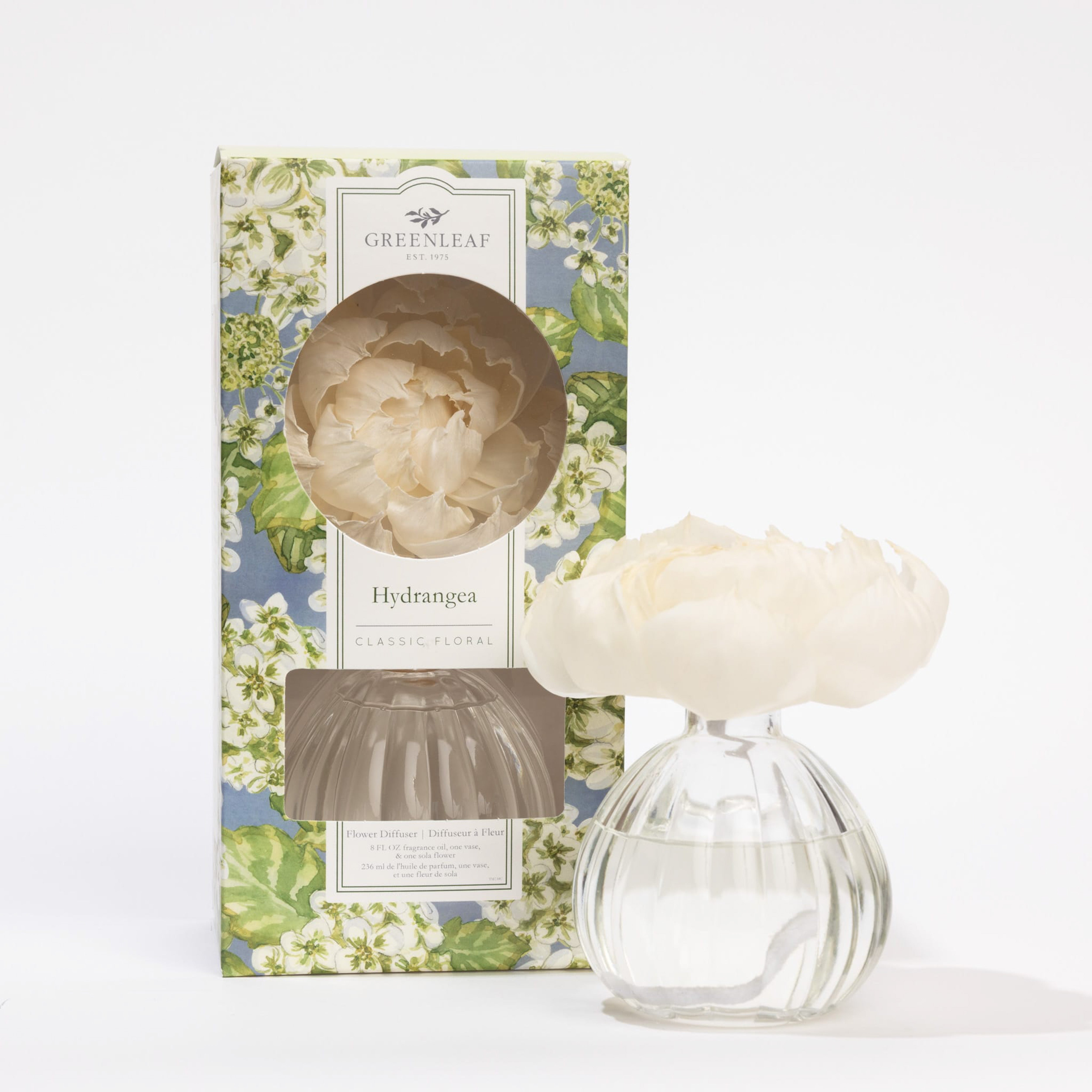 A Greenleaf Gifts Hydrangea Flower Diffuser stands next to a round glass vase with clear liquid and a white artificial flower. The 8 oz box shows a blue, green, and white floral pattern and provides up to 60 days of freshness.