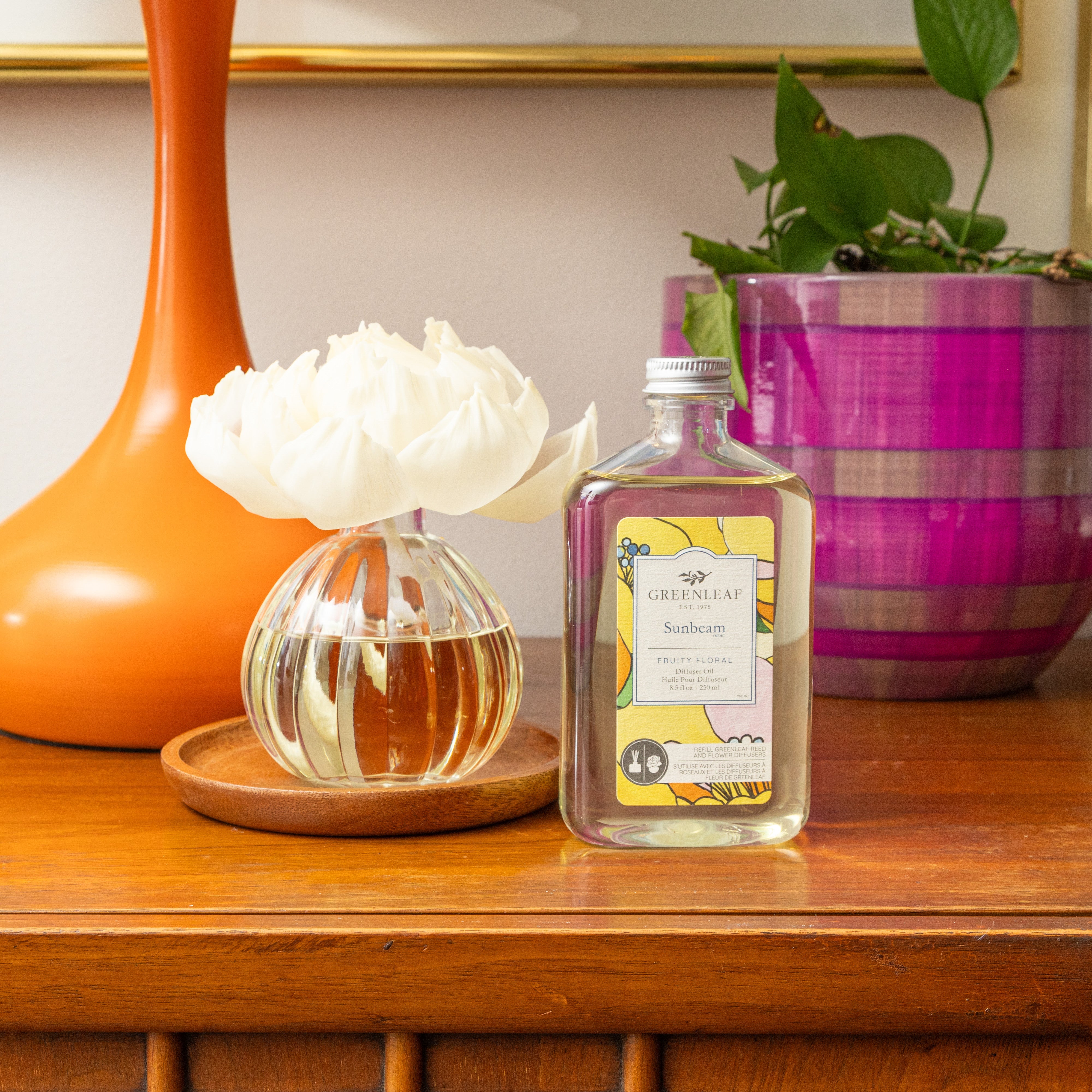 A glass vase with white petals and a Greenleaf Gifts Sunbeam Diffuser Refill Oil sit on a wooden surface next to an orange lamp and a pink-striped plant pot with green foliage.