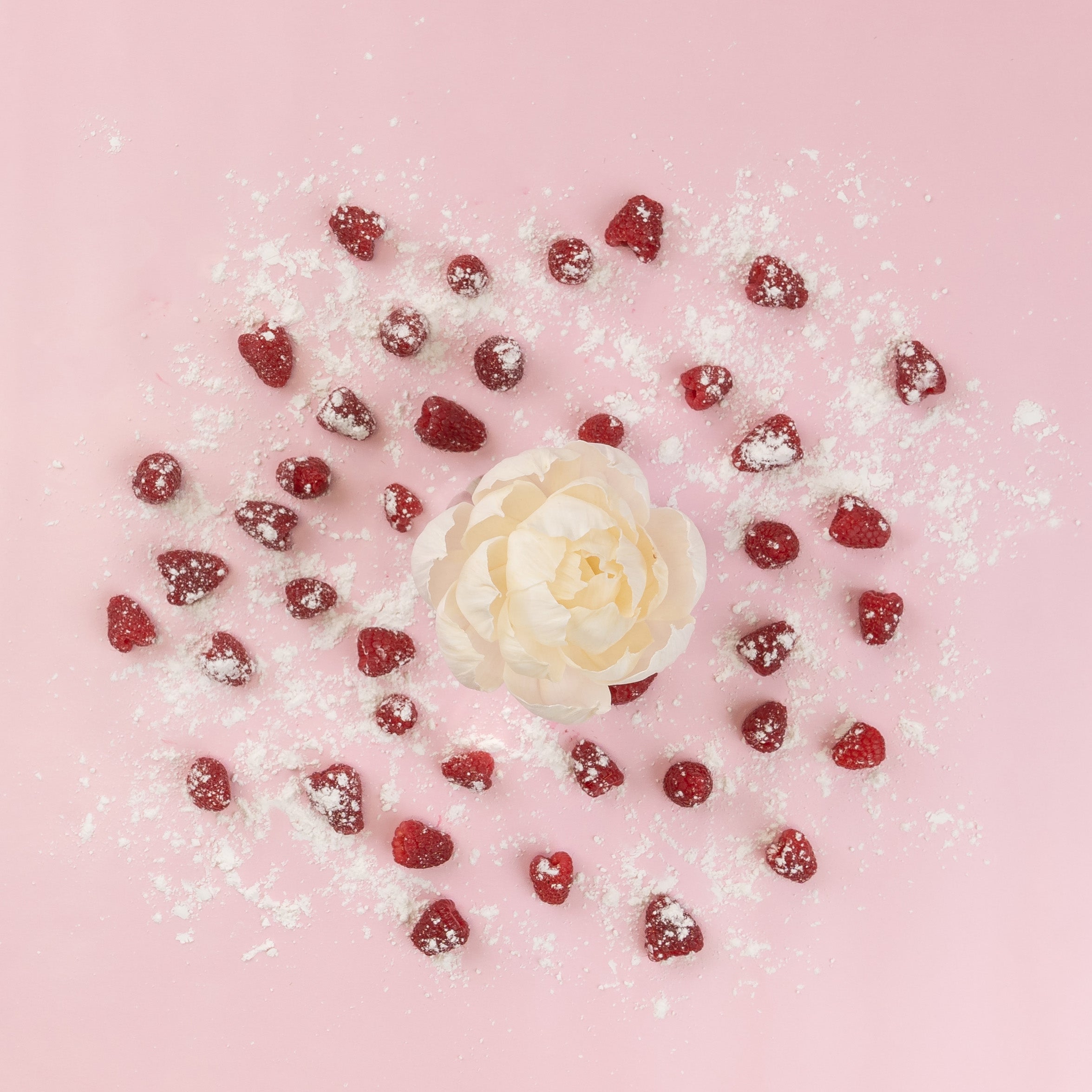 A Brambleberry Flower Diffuser by Greenleaf Gifts rests on a pink background, surrounded by raspberries and powdered sugar—creating an elegant, artful display.