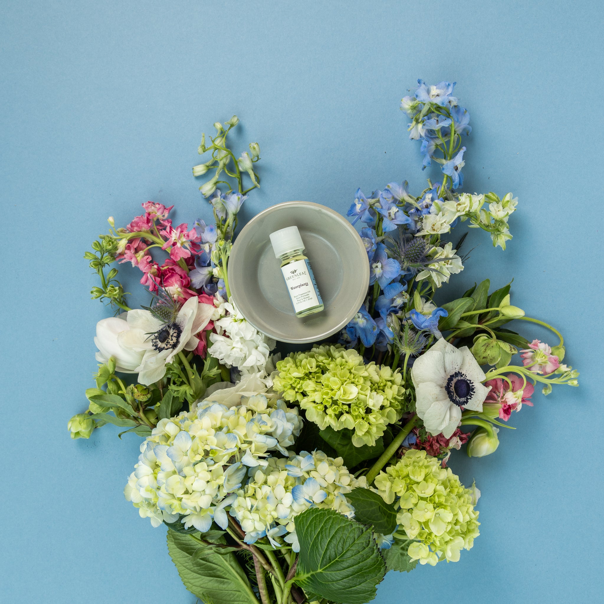 A small bottle of Waterplants Home Fragrance Oil by Greenleaf Gifts sits in a bowl, surrounded by hydrangeas and anemones—evoking waterplants—arranged on a light blue background.
