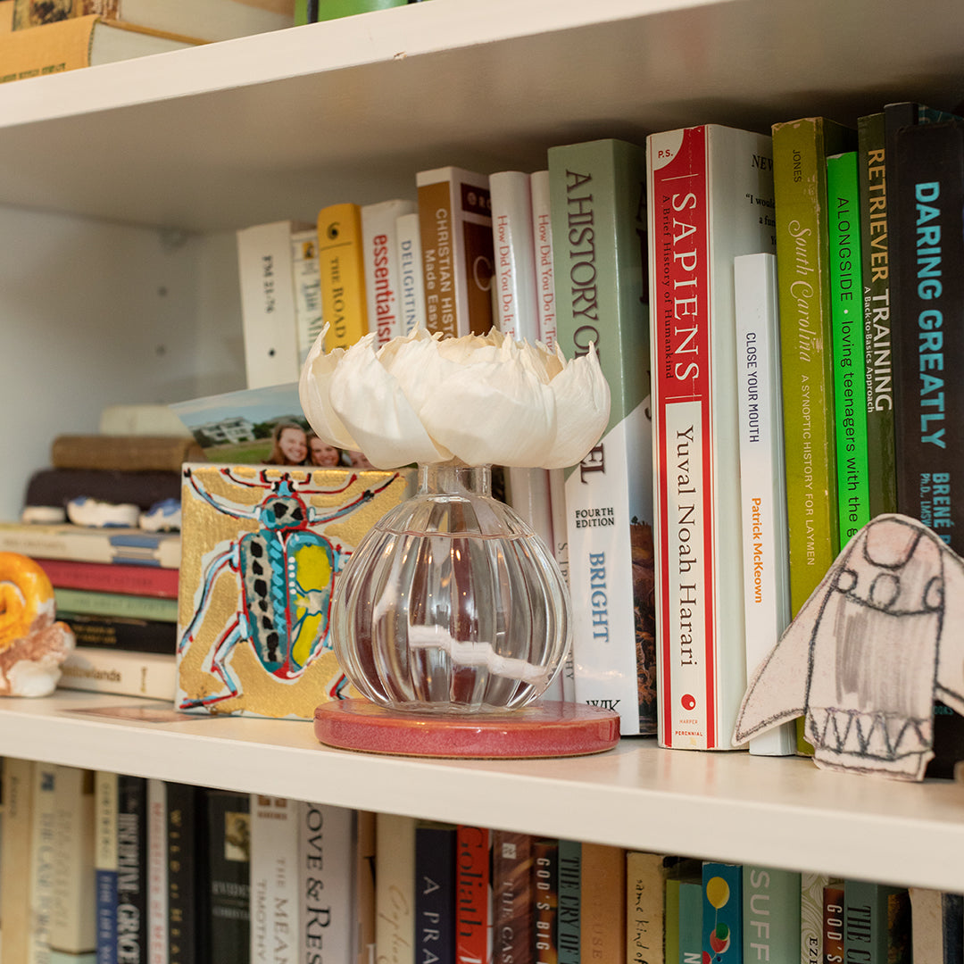 A bookshelf with assorted books, a Greenleaf Gifts Flower Diffuser-Magnolia, a small beetle artwork, an 8 oz decorative seashell, and a ghost-shaped felt ornament arranged among the books.