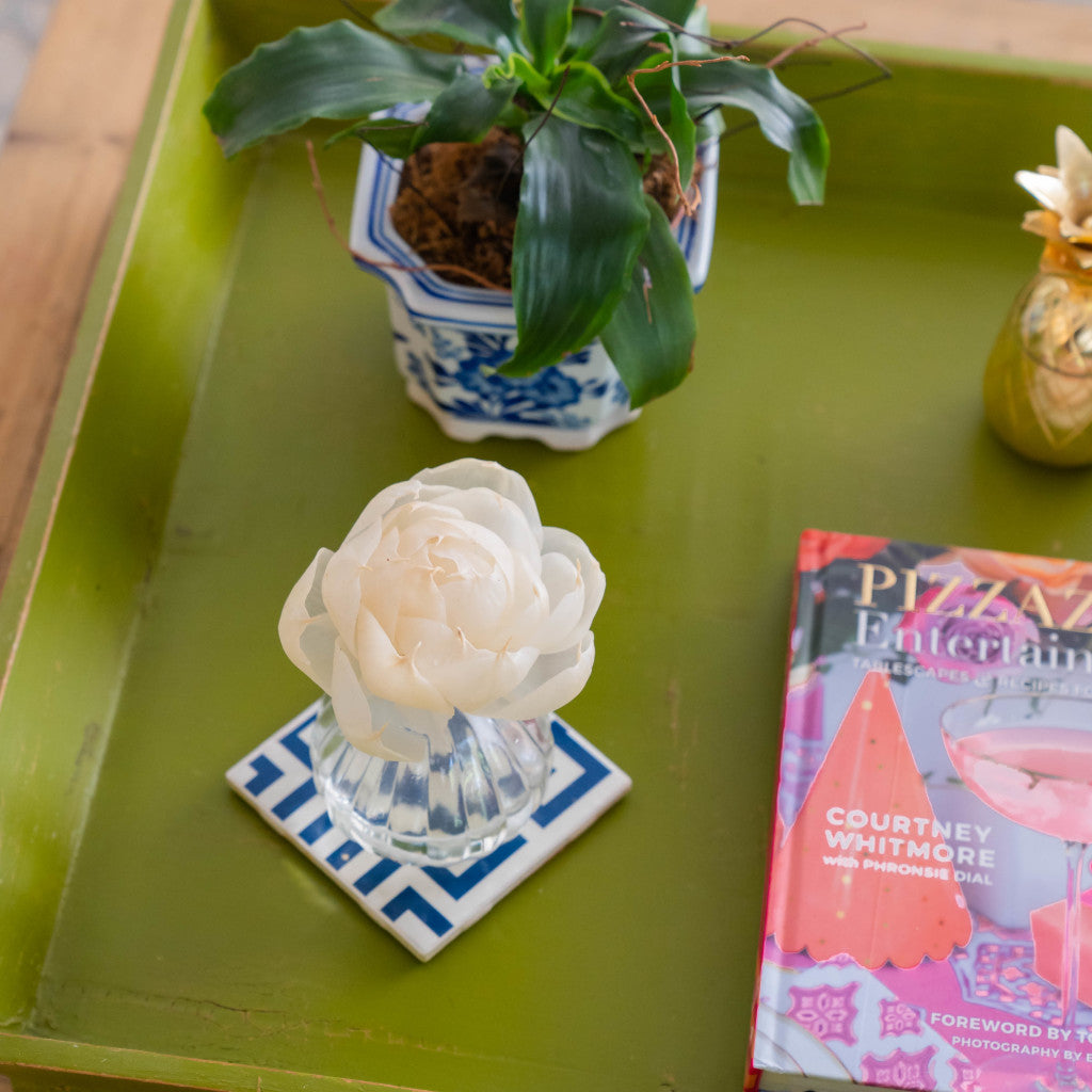 The Greenleaf Gifts Silver Spruce Flower Diffuser in a glass vase sits on a blue-and-white coaster atop a green tray, beside a potted plant and the colorful Pizzazzerie Entertaining book, adding elegance with its gentle fragrance.