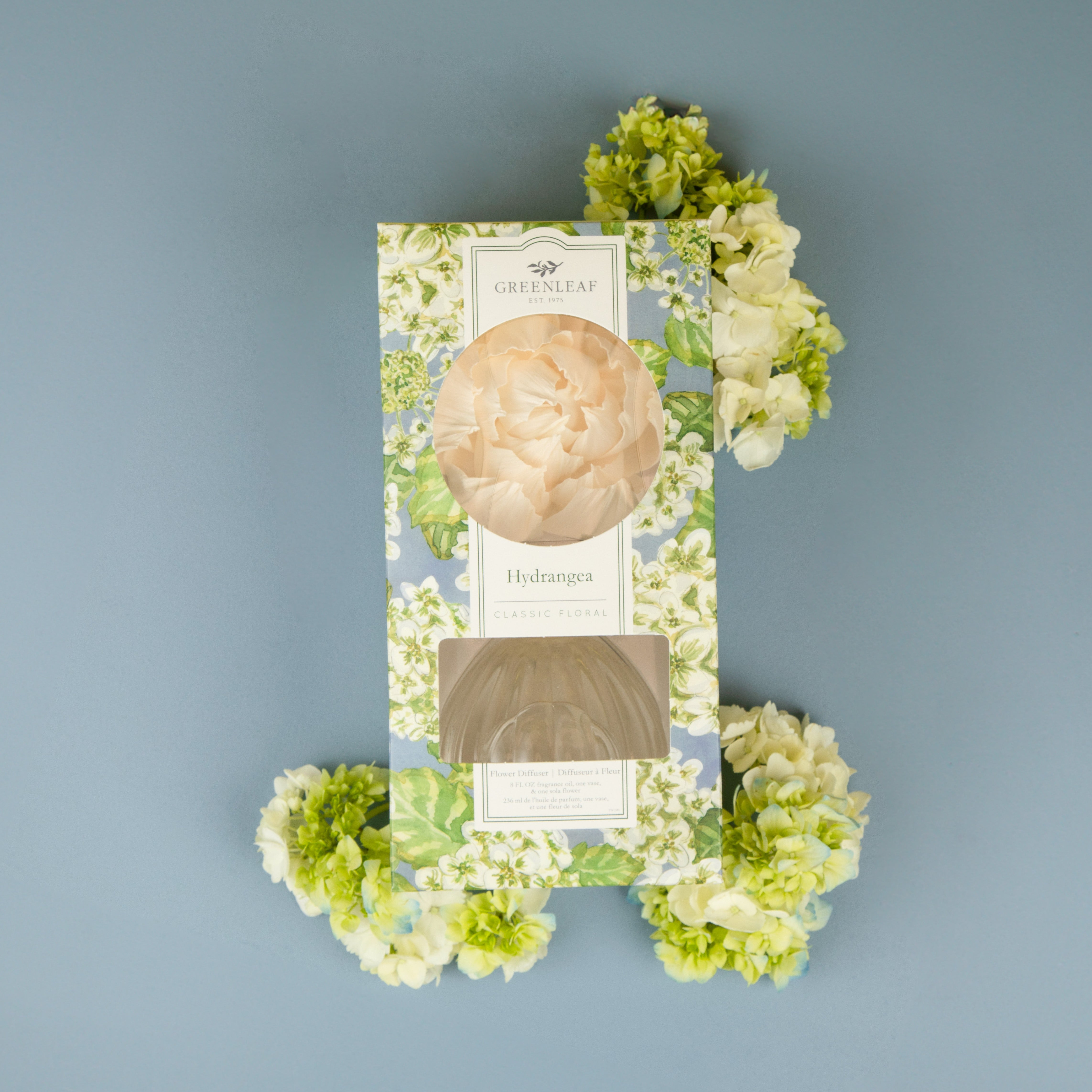 The Greenleaf Gifts Hydrangea Flower Diffuser is presented in a floral-patterned box, accented with sola paper flowers and clusters of white and green hydrangeas, set against a soft blue backdrop.