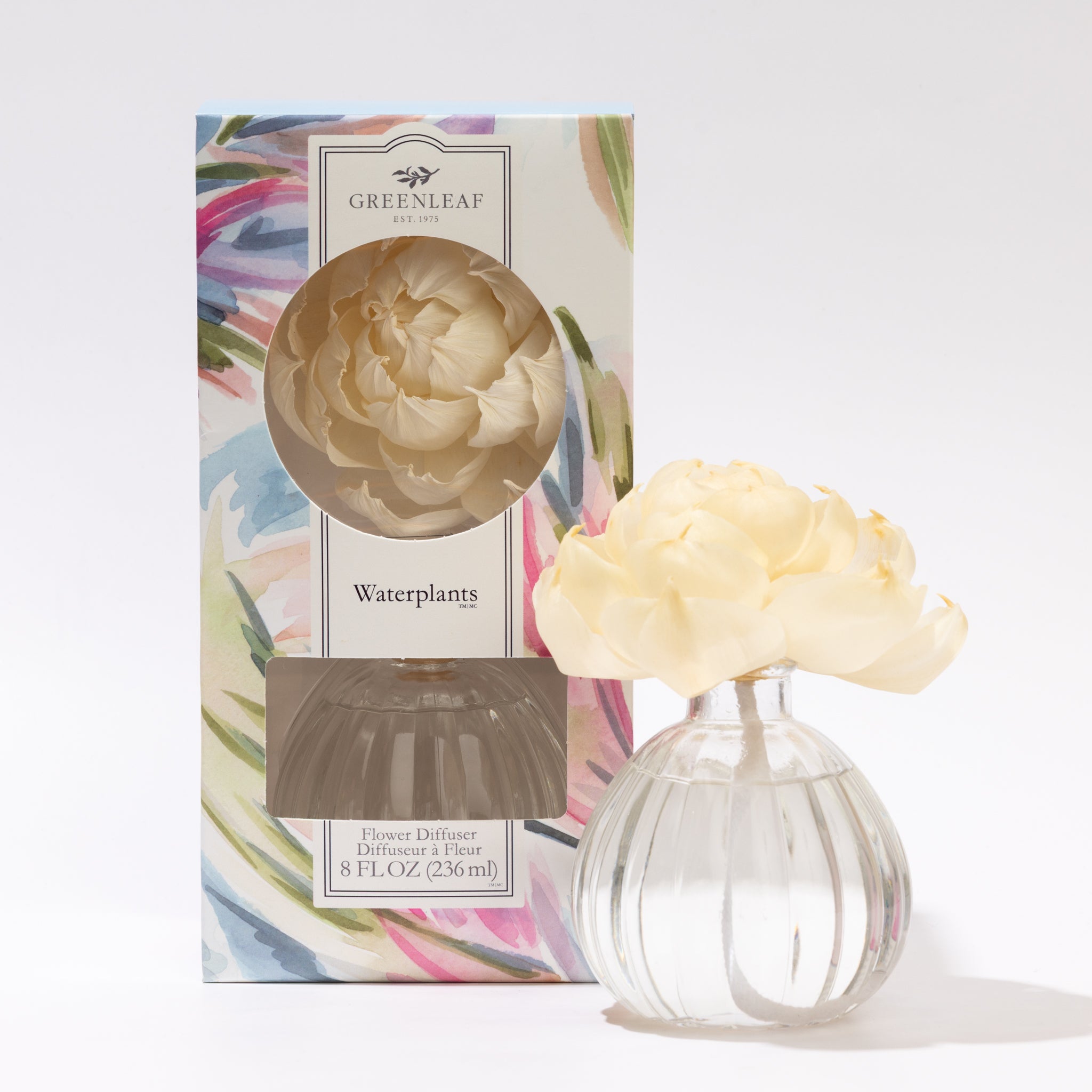 The Greenleaf Gifts Waterplants Flower Diffuser includes a cream sola paper flower in a clear ribbed glass vase, pictured next to its floral Waterplants box with product details and an elegant flower illustration.