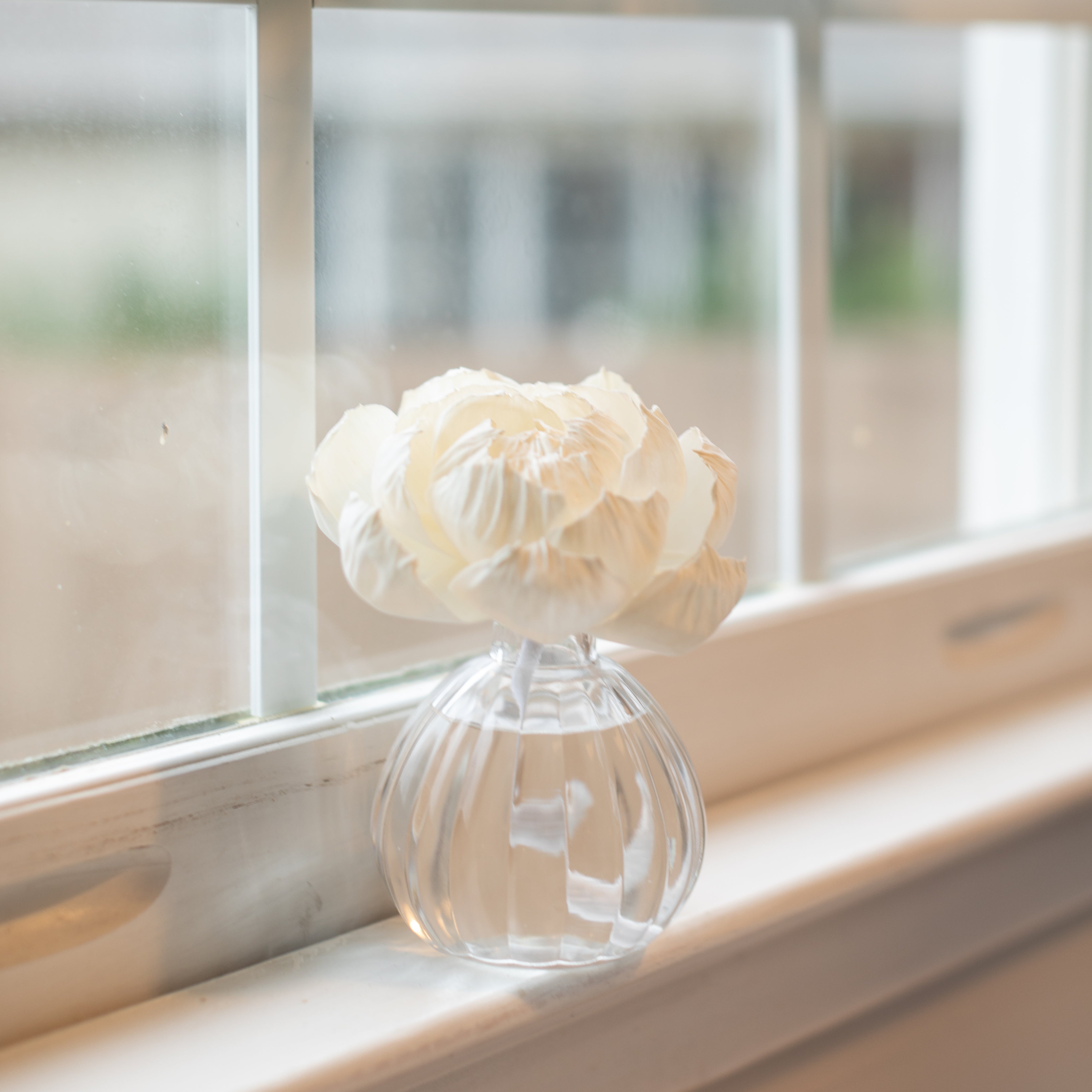 A single white flower from the Greenleaf Gifts Flower Diffuser-Rhubarb & Oak (8 oz) sits in a clear glass vase on a windowsill, with soft light streaming in. Enjoy elegant fragrance that lasts up to 60 days.