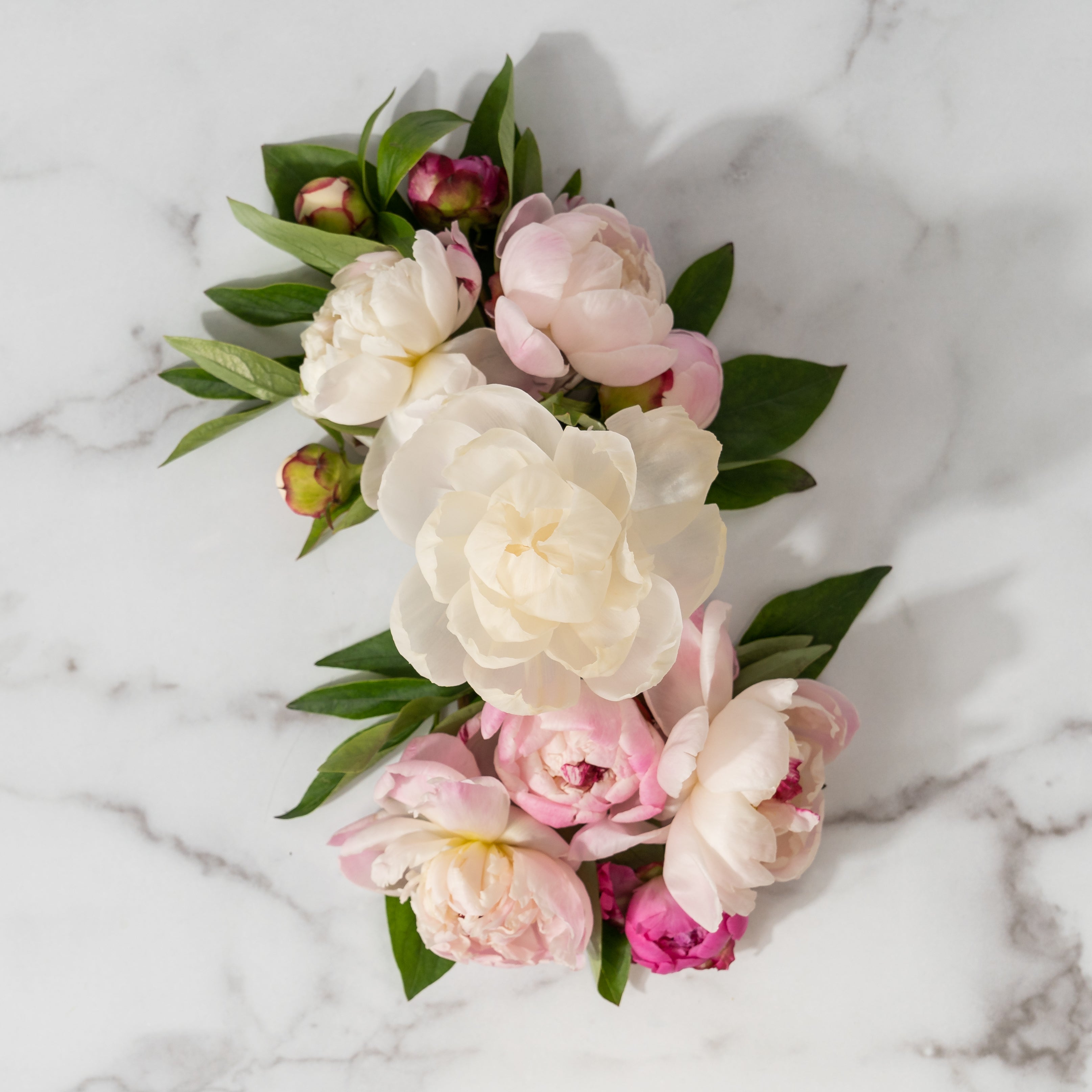 The Peony Bloom Flower Diffuser by Greenleaf Gifts features pink and white peonies with green leaves and a sola paper flower, displayed on a white marble surface.